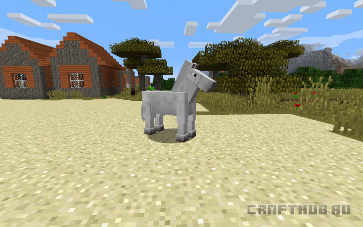 Майнкрафт где живет лошадь зомби. Как приручить лошадь в Minecraft